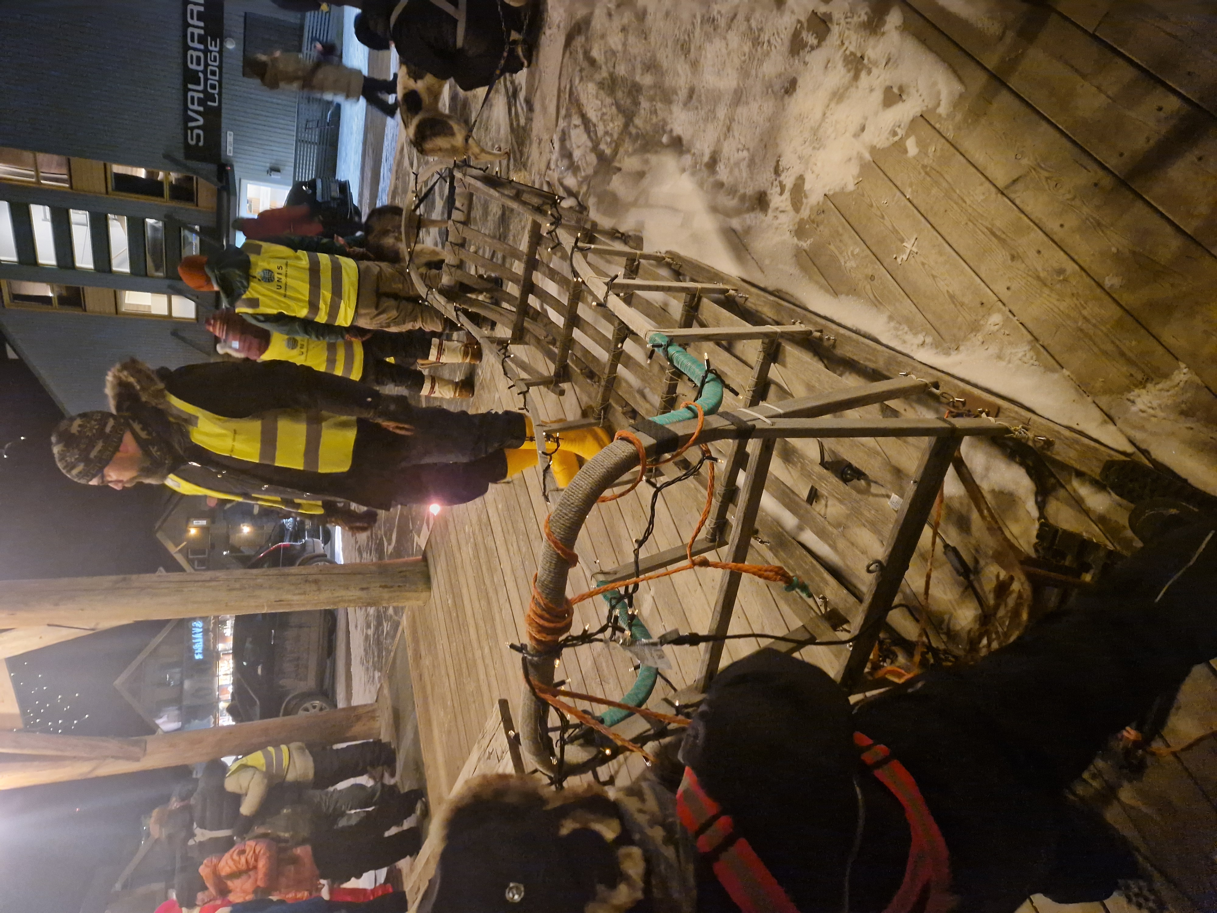 Feature image for Vi venner oss på polarnatta