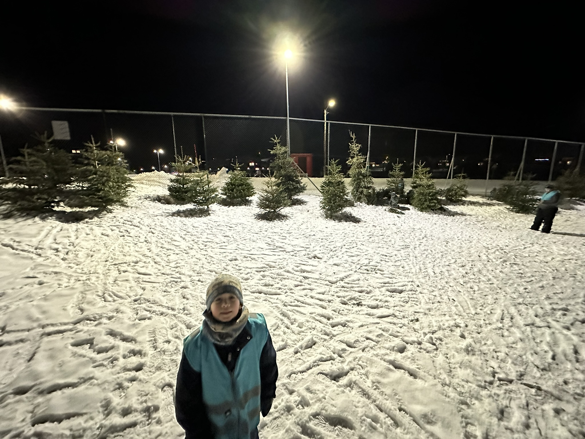 Feature image for Bursdager og "skog" på Svalbard
