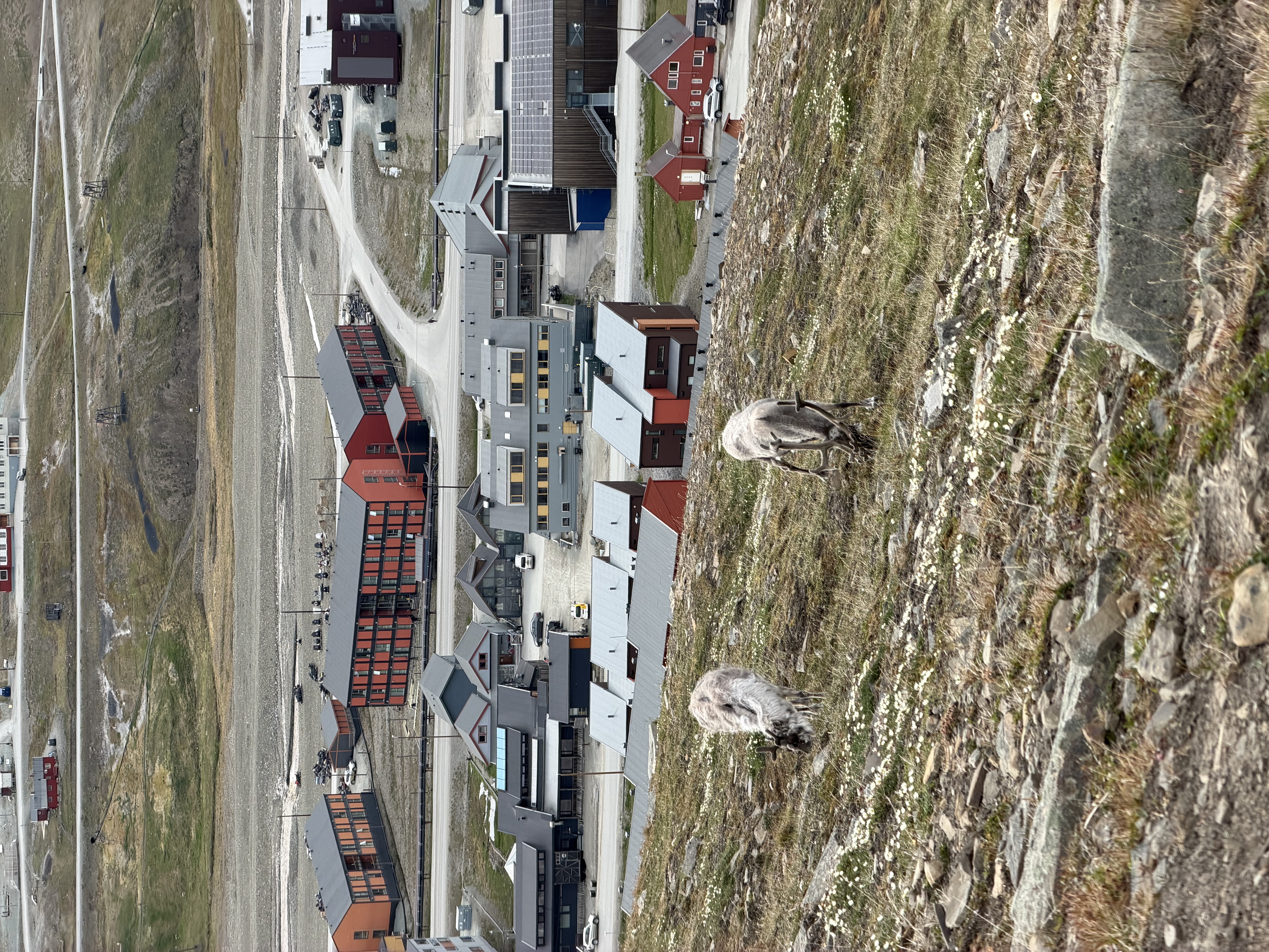 Nesten ved barnevarden