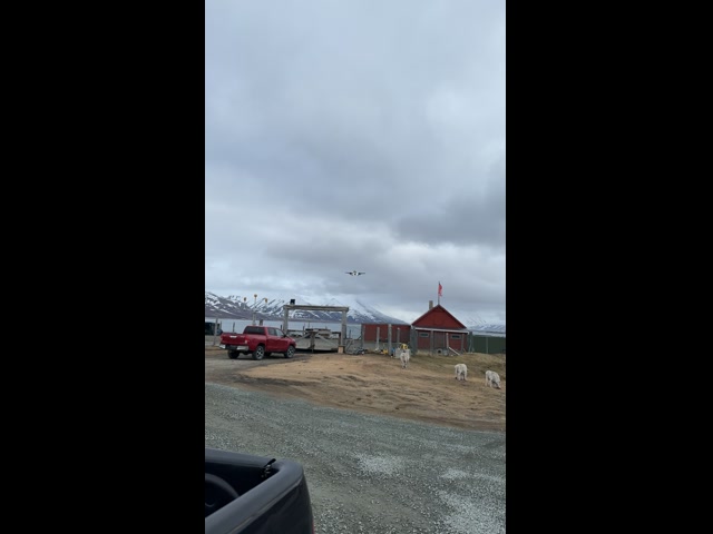 Innflyvning